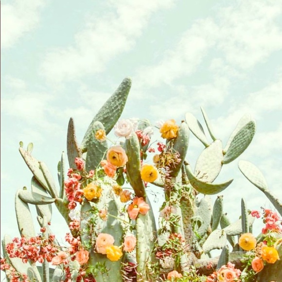 Meet your Posher, Reece - Picture 1 of 1